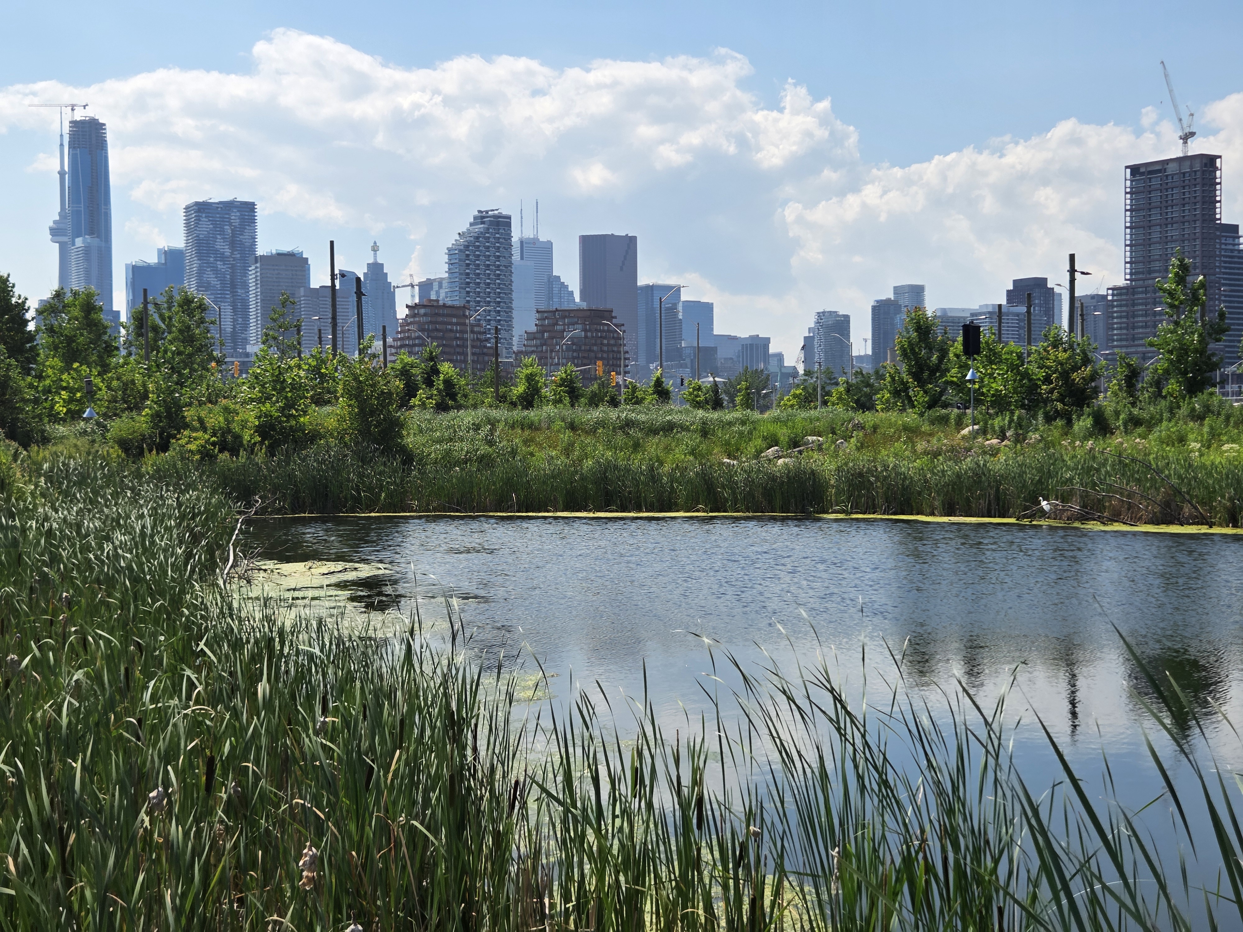 A scenic view of a pond surrounded by lush greenery, with a skyline of modern skyscrapers in the background under a partly cloudy sky.